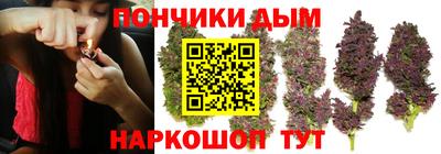 гидропоника Вязьма